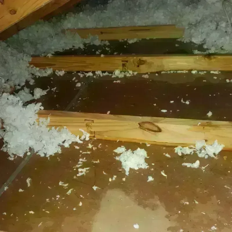 Attic Water Damage in Ridgemark, CA