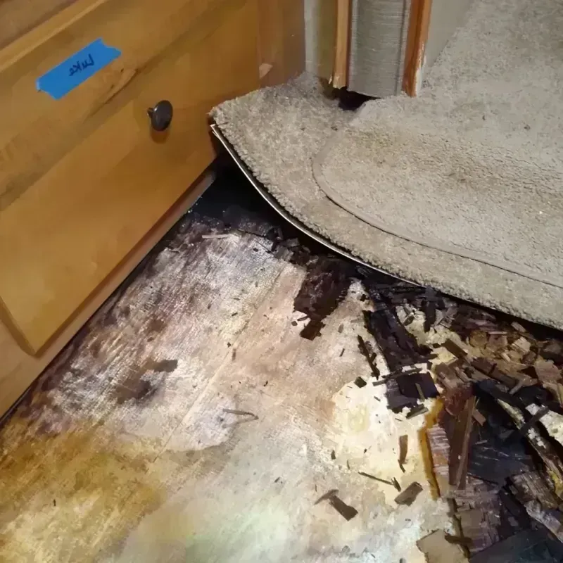 Best Wood Floor Water Damage Service in Ridgemark, CA